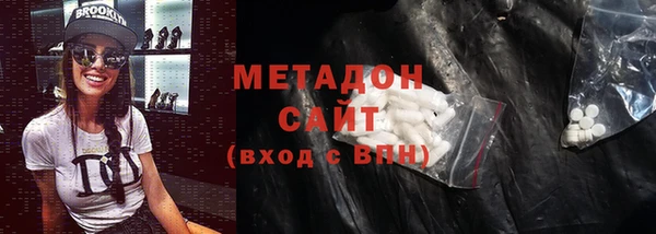 прущие грибы Абаза