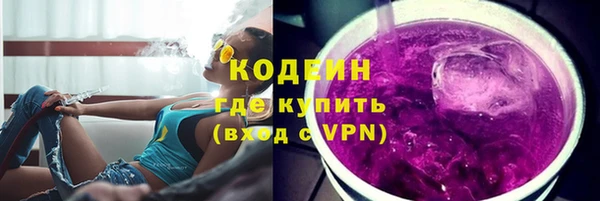 прущие грибы Абаза