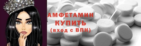 прущие грибы Абаза