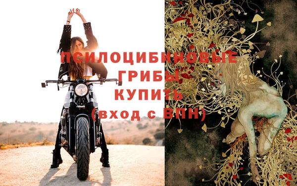 прущие грибы Абаза