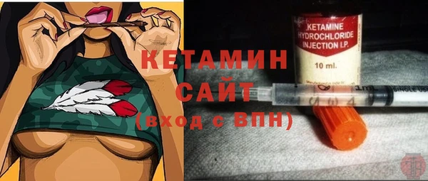 прущие грибы Абаза