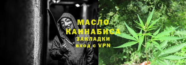 прущие грибы Абаза