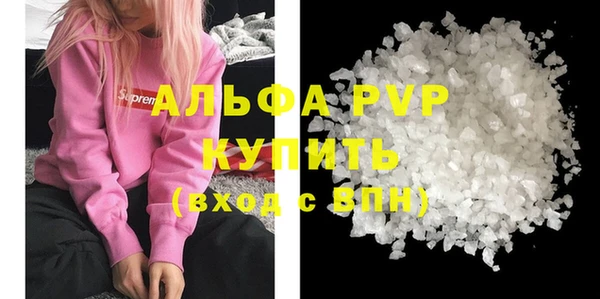 прущие грибы Абаза