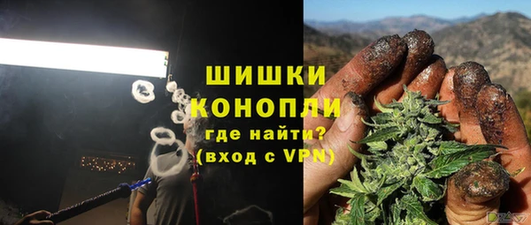 прущие грибы Абаза