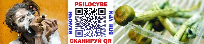 наркошоп Электросталь Псилоцибиновые грибы прущие грибы