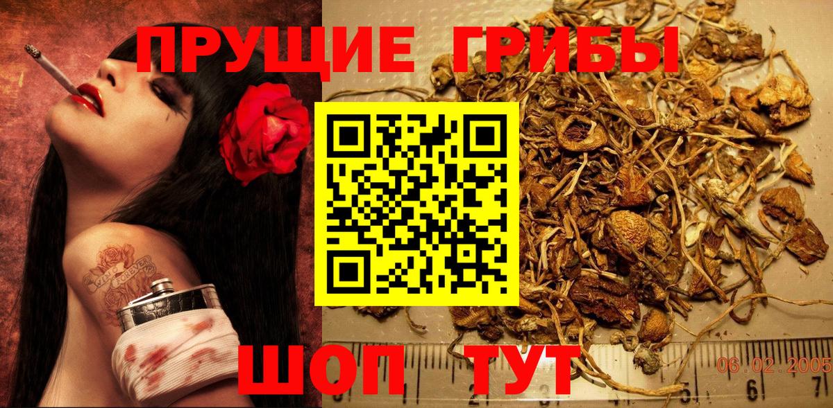 Псилоцибиновые грибы ЛСД  Псилоцибиновые грибы GOLDEN TEACHER  Электросталь  Вход с VPN 