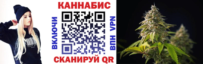 Бошки марихуана план  Электросталь 